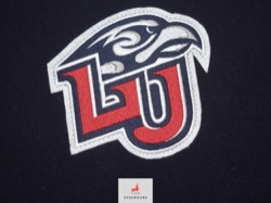 Desert Cactus Liberty University Patch